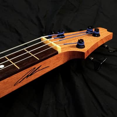 Rukavina Bass Lapsteel Guitar - 30" Scale image 3