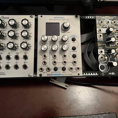 Rossum Electro-Music Morpheus Stereo Morphing Z-Plane Filter Eurorack Module 2016 - 2021 - Silver image 2