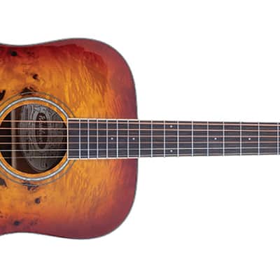 Washburn DFBDA Deep Forest Burl Collection Dreadnought Acoustic Guitar-Amber Fade Gloss image 18
