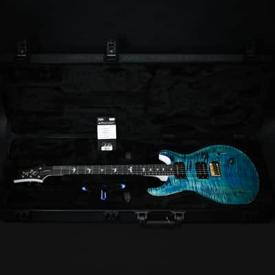 PRS Custom 24 w/ 10-Top & DMO Pickups- Custom Color 2026 (0423163) image 5