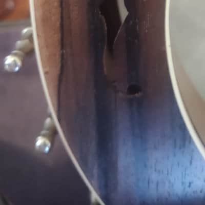 1920 Bacon Professional FF No. 2 Banjo w/ Original Case image 10