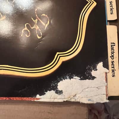 Gibson Damaged Dealer catalog colored cover version 1975 image 17