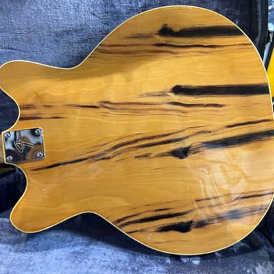Fender Wildwood Coronado II 1967 - Wildwood image 11