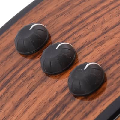 Taylor 254ce Plus 12-String Grand Auditorium Torrefied Sitka/Rosewood ES2 image 9