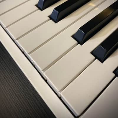 M-Audio Axiom Pro 25 Key USB MIDI Keyboard Controller image 3