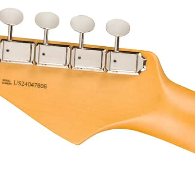 FENDER - American Professional Classic Stratocaster  Rosewood Fingerboard  Faded Black - 0114940322 imagen 6