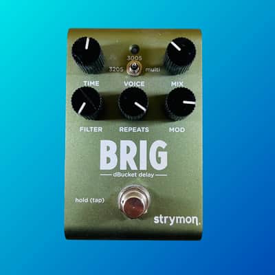 Strymon Brig dBucket Delay