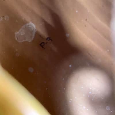 Airline P-3 Archtop 1950s-60s image 8
