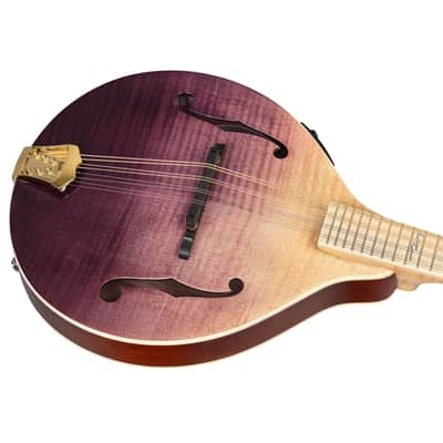 Ortega RMAE200PF Americana Series A-Style Solid Flamed Maple Top Maple Neck 8-String Acoustic-Electric Mandolin w/Croco Leather Case image 10