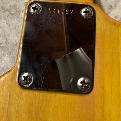 Immagine Fender Duo Sonic 1964 - 6