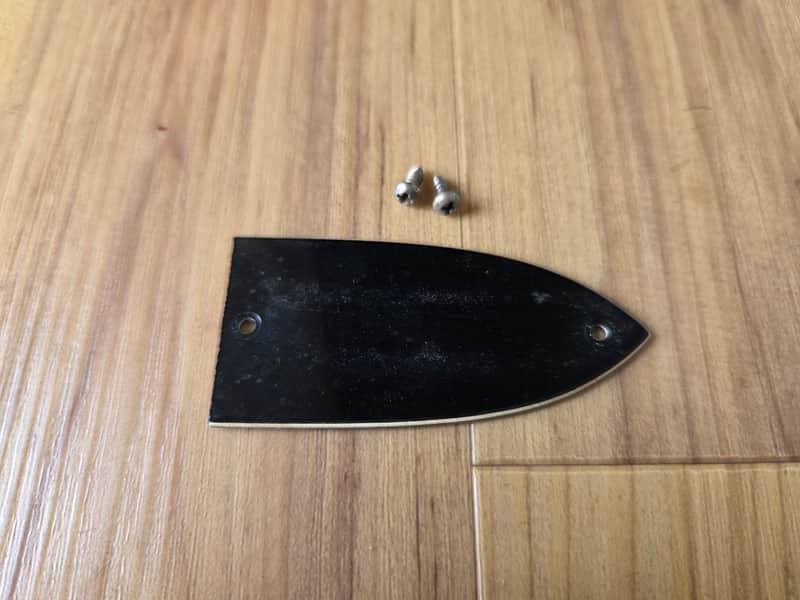 Vintage 1960's Epiphone Bass Truss Rod Cover w/ Original Mounting Screws! image 1