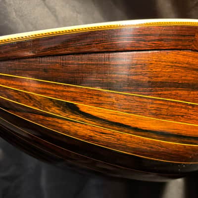Washburn Bowlback Mandolin Stlye 215 - Brazilian Rosewood - Great Player -Org. Case - Clean! - Ships FREE!!! image 13