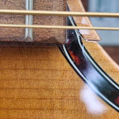 Breedlove Discovery Concert ED 12 St CE 2021 - Gloss Edgeburst Finish-READ DETAILS image 18