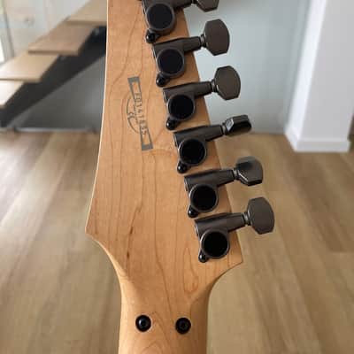 Ibanez RG 7620 "Valhalla" Swirl, 2001 image 12