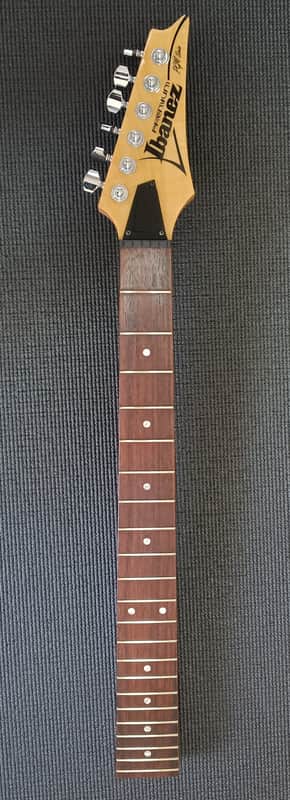 Immagine Ibanez Pgm 80P - 1