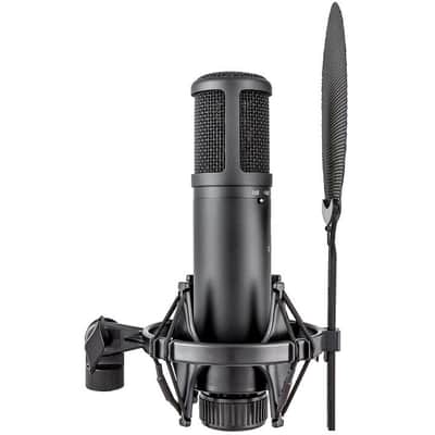 sE Electronics sE2200 Microphone image 4
