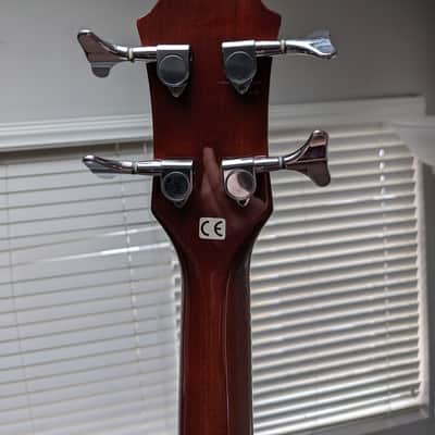 Michael Kelly Acoustic/Electric Bass Guitar image 12