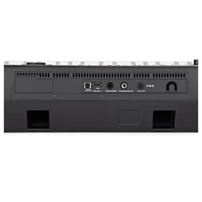 Korg Pa300 image 8