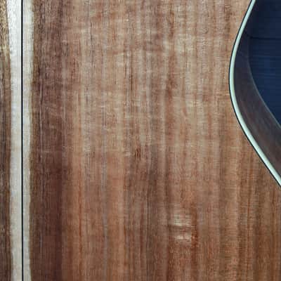 Eastman  AC422CE Koa-LTD Solid Wood Auditorium w/ LR Baggs Pickup image 8