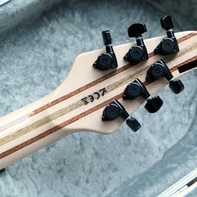 Mayones Regius 6 Galaxy Eye Black Gloss, Pale Moon Ebony Fretboard + Hiscox Case image 7