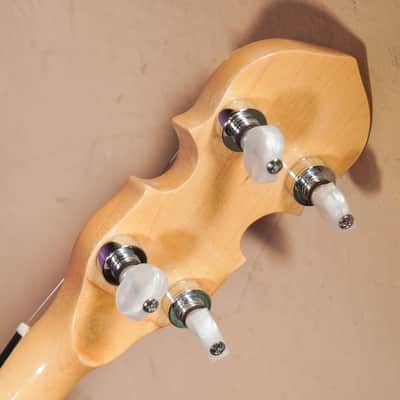 2010s Gold Tone CC-100R Resonator 5-String Banjo (VIDEO! Fresh Setup, Ready) image 10