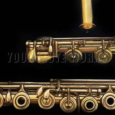 William S. Haynes 14k White Gold Flute #53151 with Silver Keys image 4