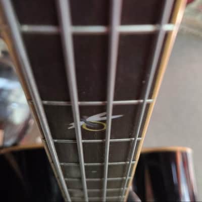 Michael Kelly Firefly Acoustic Bass - Used - Clear Black finish w/ Hardshell Case image 7