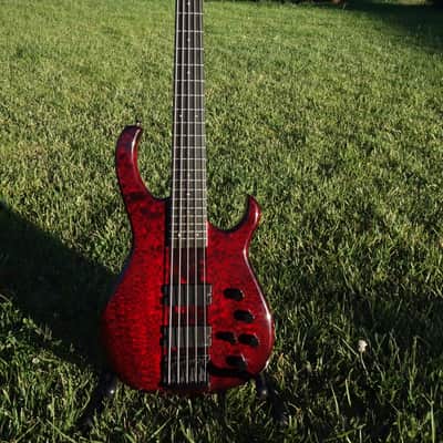 Modulus TBX Quantum 5 image 1