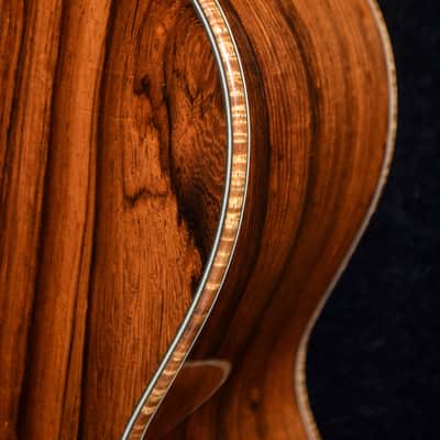 Baden - American Made TJ Baden Guitar Madagascar image 12