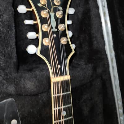 Kentucky KM   DAWG Mandolin ( Very Rare / Hard To Find.)  Sunburst image 6