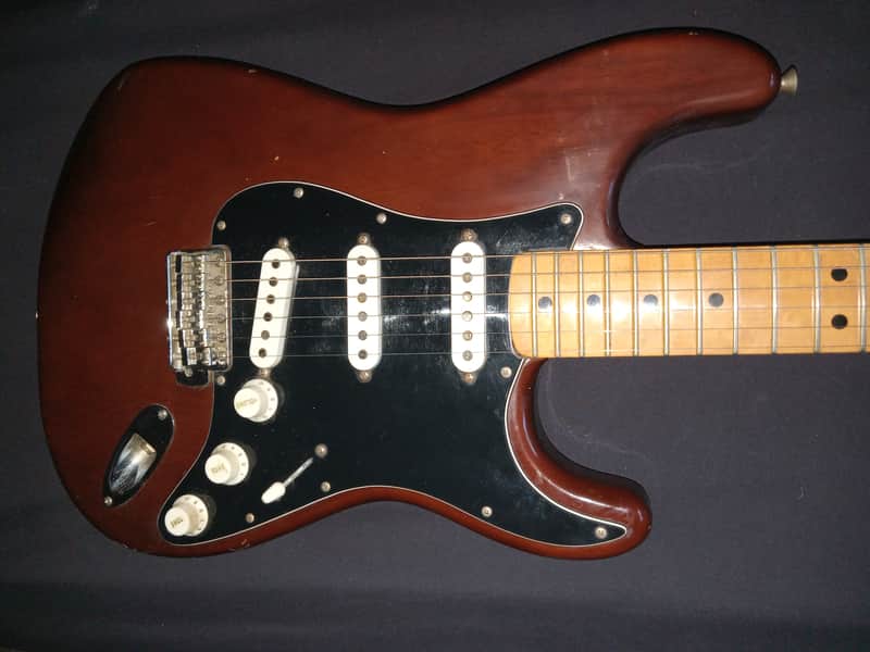 Fender Stratocaster  1976 mocha image 1