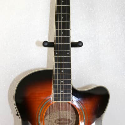 Washburn EA15ATB-A - Gloss image 8