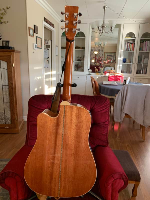 Zager Zad 50 CE 2010 image 1