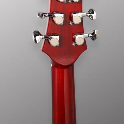 CP Thornton Guitars Professional - Darkburst w/ 5A Flame Maple Top. NEW (Authorized Dealer) image 14