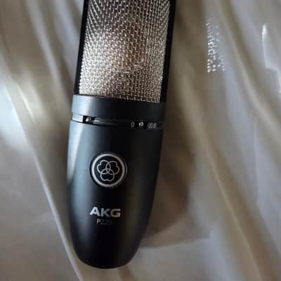 AKG P220 Large Diaphragm Cardioid Condenser Microphone 2010s - Black image 1