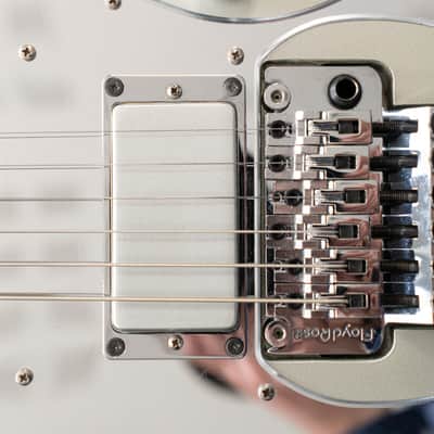 ESP RZK-I Platinum Silver - Rammstein, Richard Z. Kruspe (2007) image 12