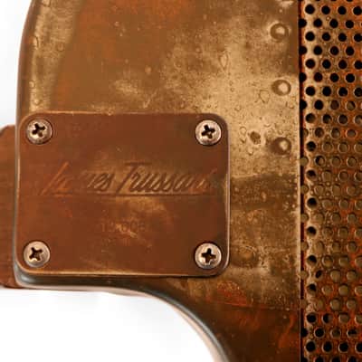 2009 James Trussart Steel DeVille - Rusty Gator Holy Back image 21