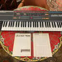 Roland Juno-106 Classic Analog Synth - NEW CHIPS installed and calibrated!