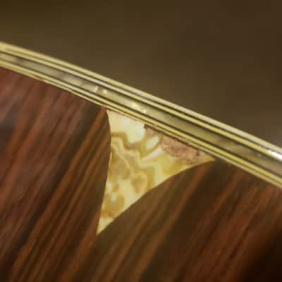 K Yairi YW800G 1977 Brazilian Rosewood image 8