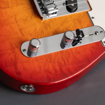 Fender Telecaster Custom Dlx 2013 image 10
