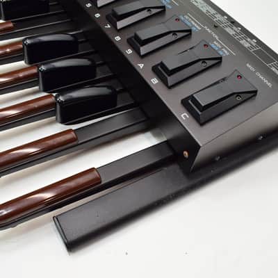 Roland PK-5 Dynamic MIDI Pedal Controller Pedalboard image 3