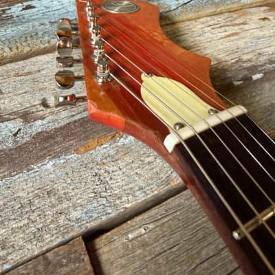 Truetone Vanguard Early 60’s - Restored image 10