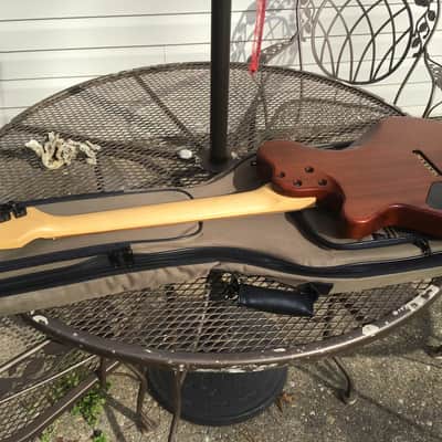 Godin Exit 22 S USA / Canada Mahogany Electric Guitar W/Bag image 17