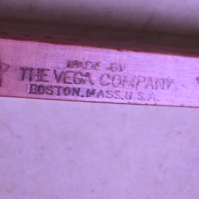 Vega "Little Wonder" 1910-1915 - Natural Maple image 3