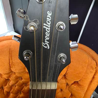 Breedlove Discovery S Concerto CE 2021 - Present - Edgeburst image 5