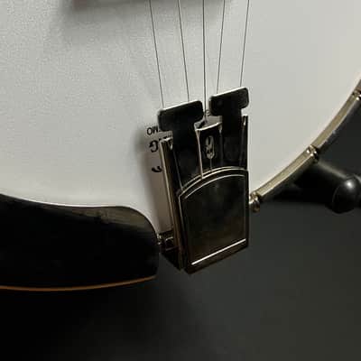 Recording King RK-R35-BR "Madison" Resonator Banjo with Bell Brass Tone Ring image 7