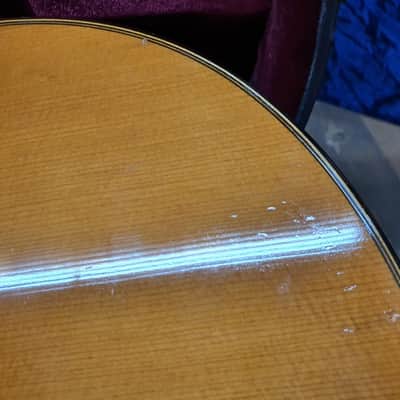 1983 Paulino Bernabe Senior Classical Guitar Nylon 83 80's Rare Collectible image 15