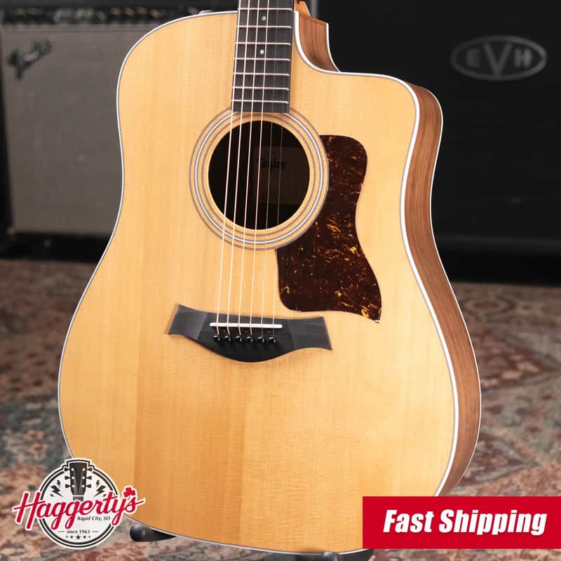 Taylor 210ce Dreadnought Acoustic/Electric Guitar with Gig Bag image 1