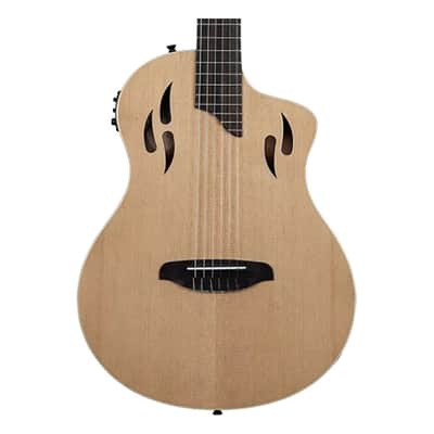 Ortega Guitars RTPSTD-NAT TourPlayer Series Thinline A/E Nylon image 1