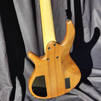 Overwater Progress Series IV Custom 5 String Fretless image 8